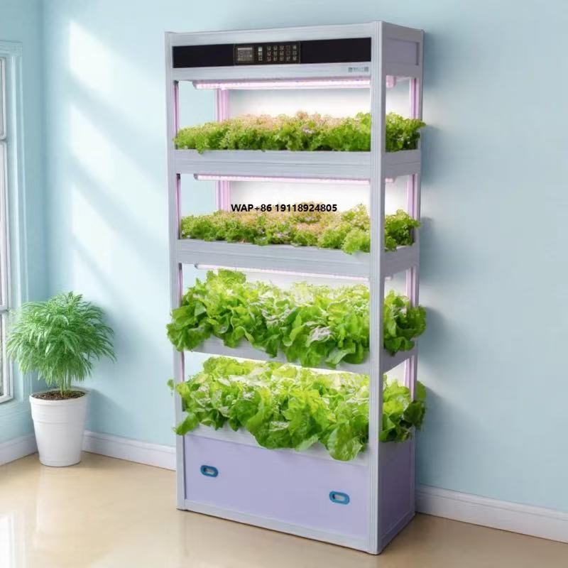 Hydroponic System - Sistem Rangka Peralatan Penanaman Sayuran Hidroponik