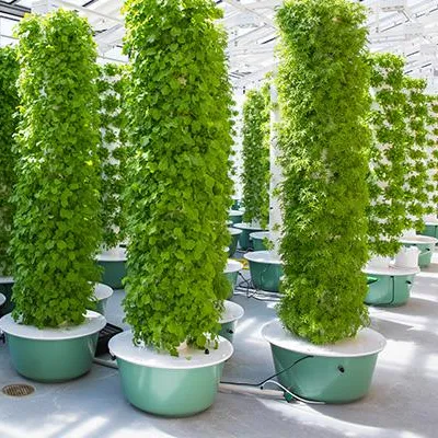 Hydroponic System - Sistem Kebun Menara Aeroponik Dengan Lampu