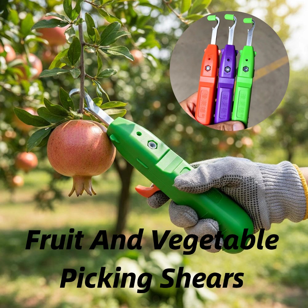 Gardening Tools Wholesale - Gunting Pemetik Buah dan Sayuran, Gunting