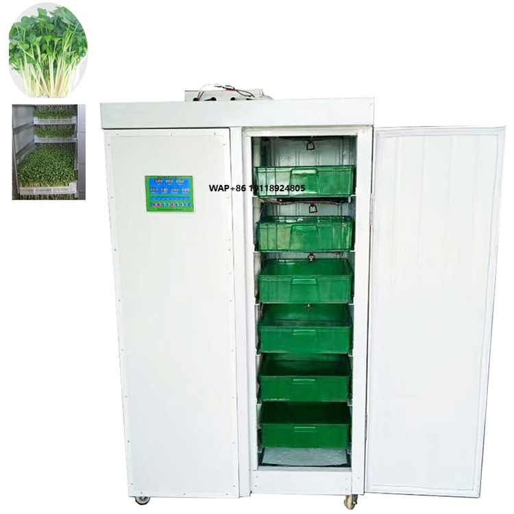 Hydroponic System - Sistem Penanaman Bawang Putih Hidroponik Dalam