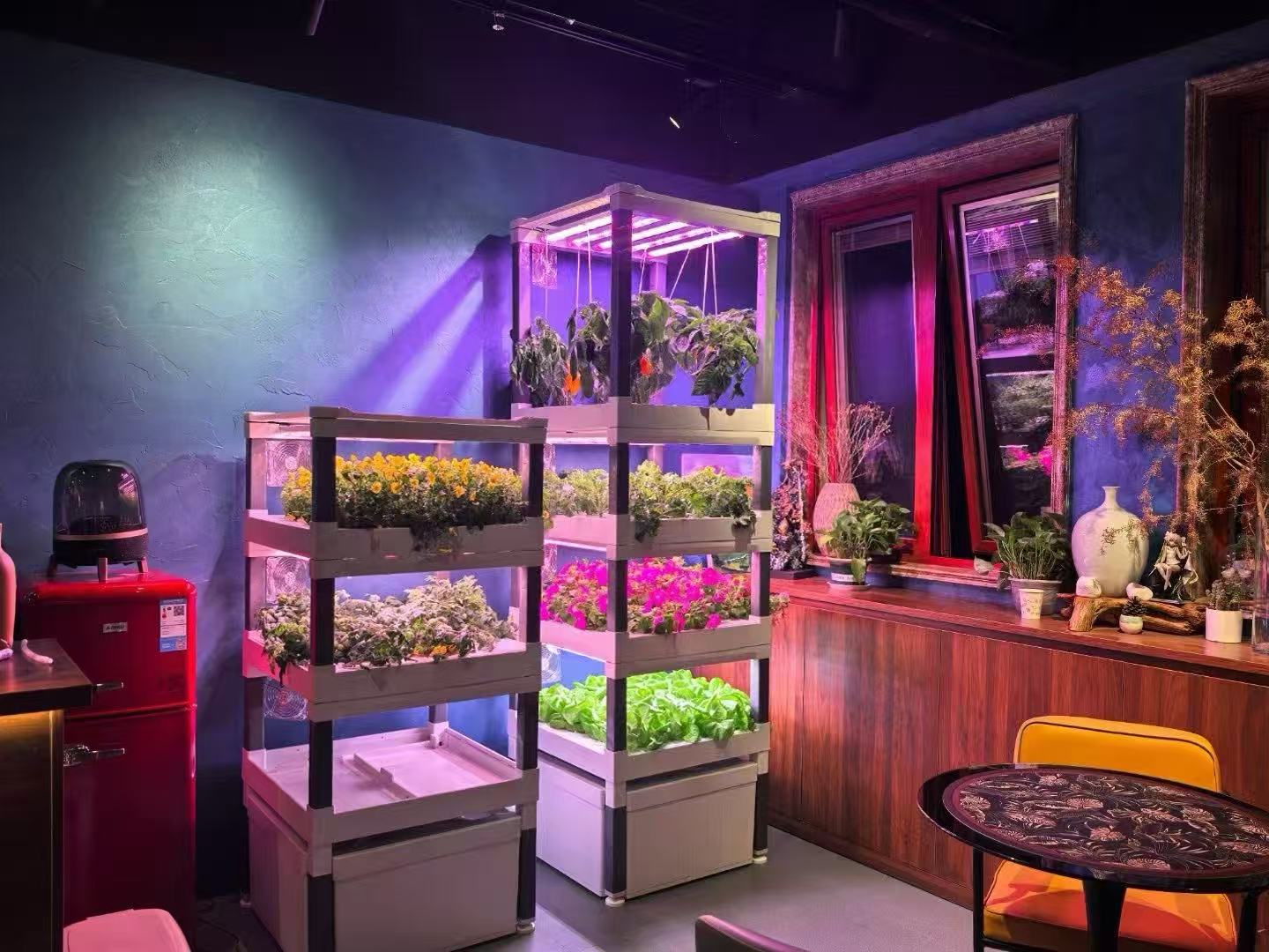 Sistem Penyiraman Otomatis Ver - Hydroponic System ulasan dan harga