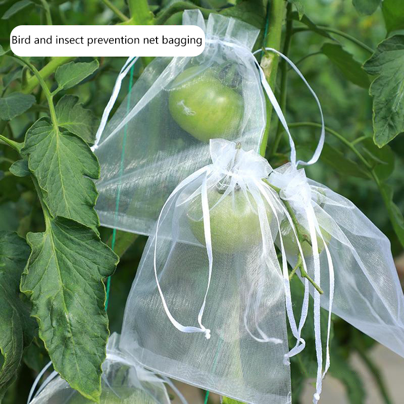 50Pcs Jaring Pelindung Buah An - Gardening Tools Bag ulasan dan harga