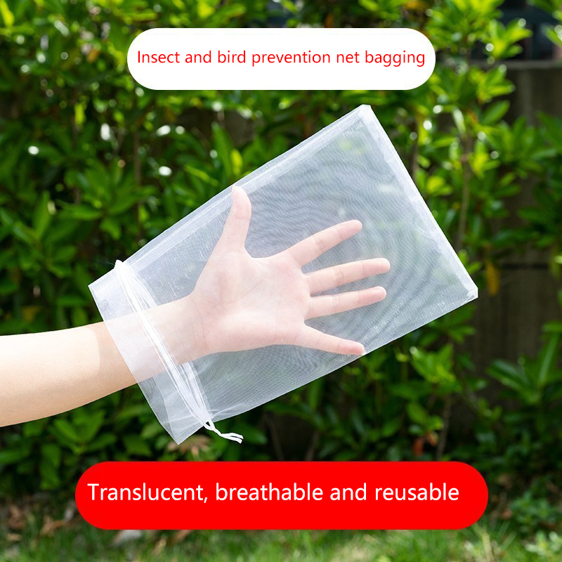 50Pcs Jaring Pelindung Buah An - Gardening Tools Bag ulasan dan harga
