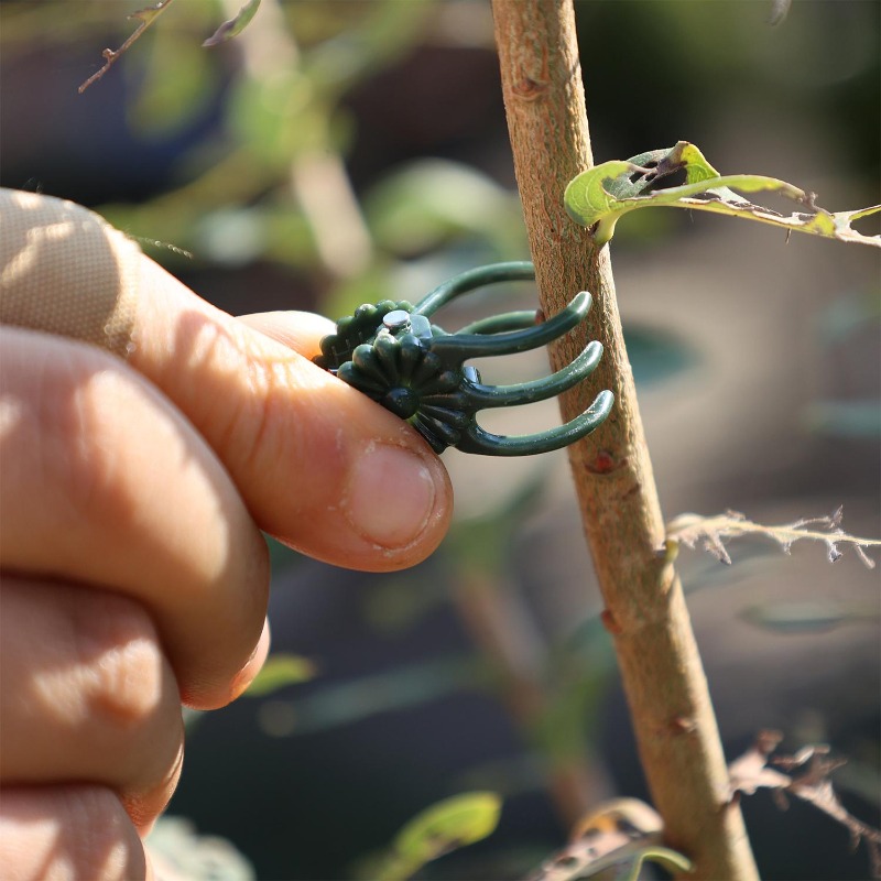 Klip Penyangga Tanaman Mini Gr - Gardening Tools Wholesale ulasan dan harga