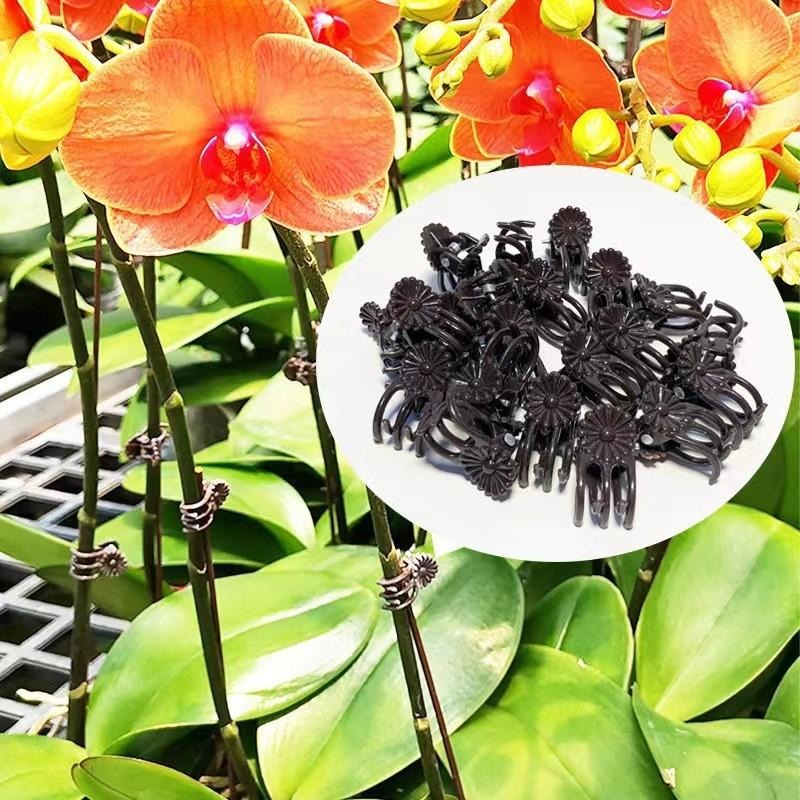 Klip Penyangga Tanaman Mini Gr - Gardening Tools Wholesale ulasan dan harga
