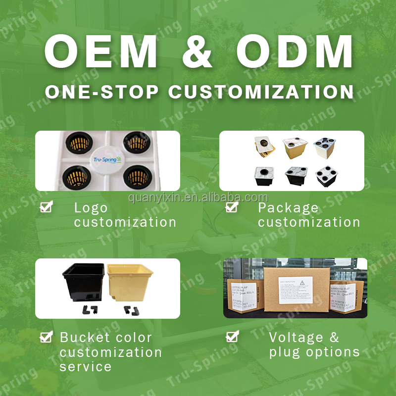 Kit Sistem Hidroponik Dutch Bu - Hydroponic System ulasan dan harga