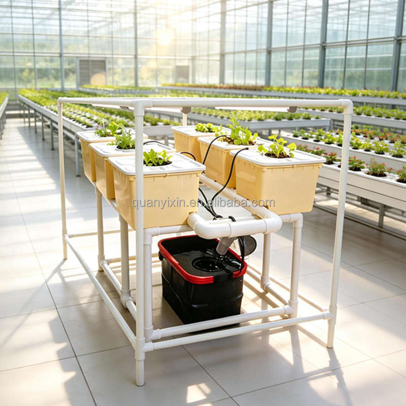 Kit Sistem Hidroponik Dutch Bu - Hydroponic System ulasan dan harga