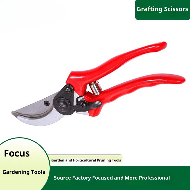 Gunting Pangkas Cangkok Premiu - Gardening Tools Quality ulasan dan harga
