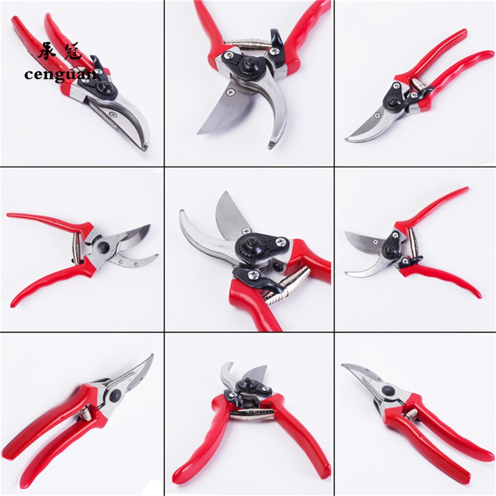 Gunting Pangkas Cangkok Premiu - Gardening Tools Quality ulasan dan harga
