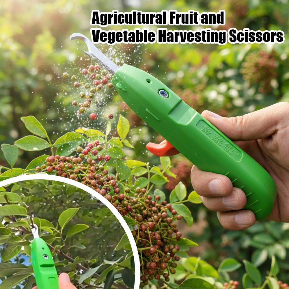 Gunting Pemetik Buah dan Sayur - Gardening Tools Wholesale ulasan dan harga