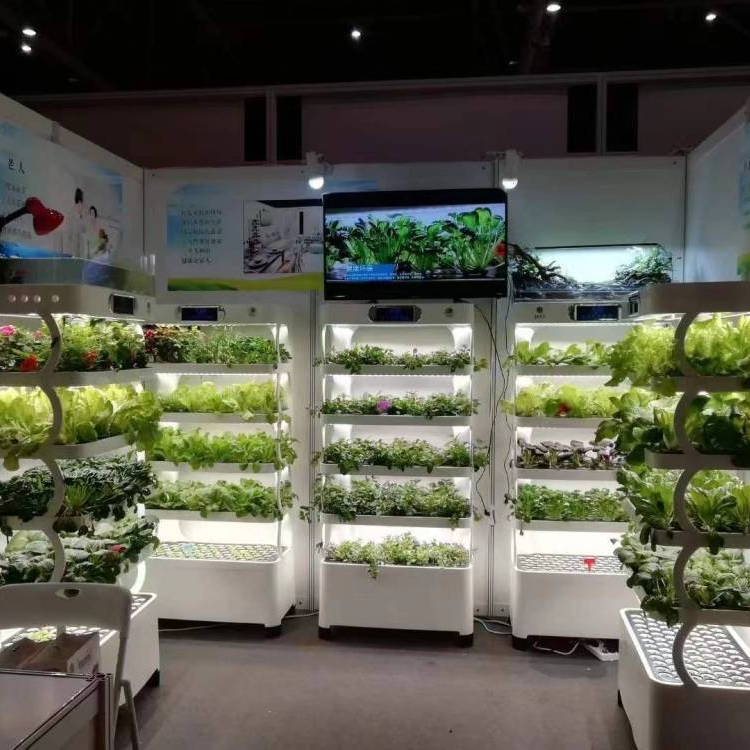 Sistem Hidroponik Cerdas untuk - Hydroponic System ulasan dan harga