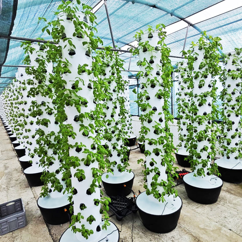 Sistem Menanam Hidroponik Vert - Hydroponic System ulasan dan harga