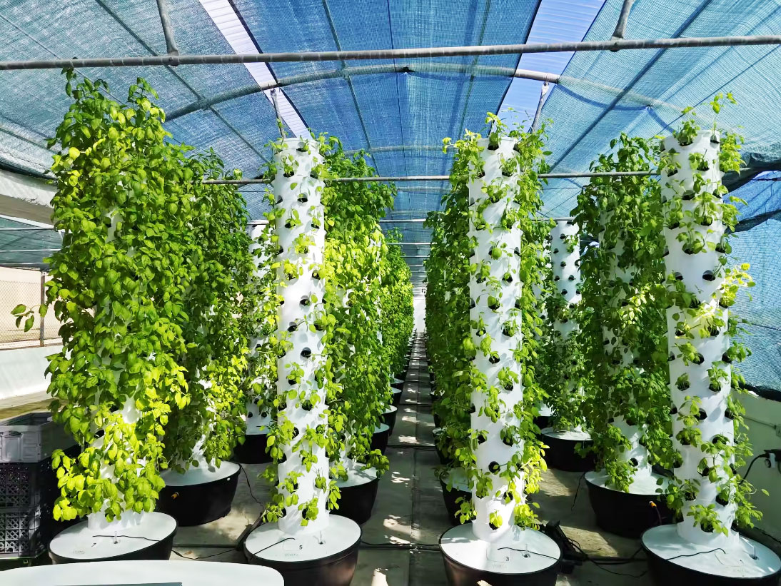 Sistem Menanam Hidroponik Vert - Hydroponic System ulasan dan harga