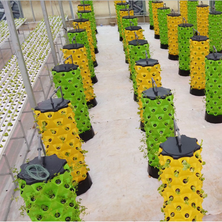 Sistem Menanam Hidroponik Vert - Hydroponic System ulasan dan harga