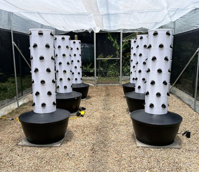 Sistem Menanam Hidroponik Vert - Hydroponic System ulasan dan harga
