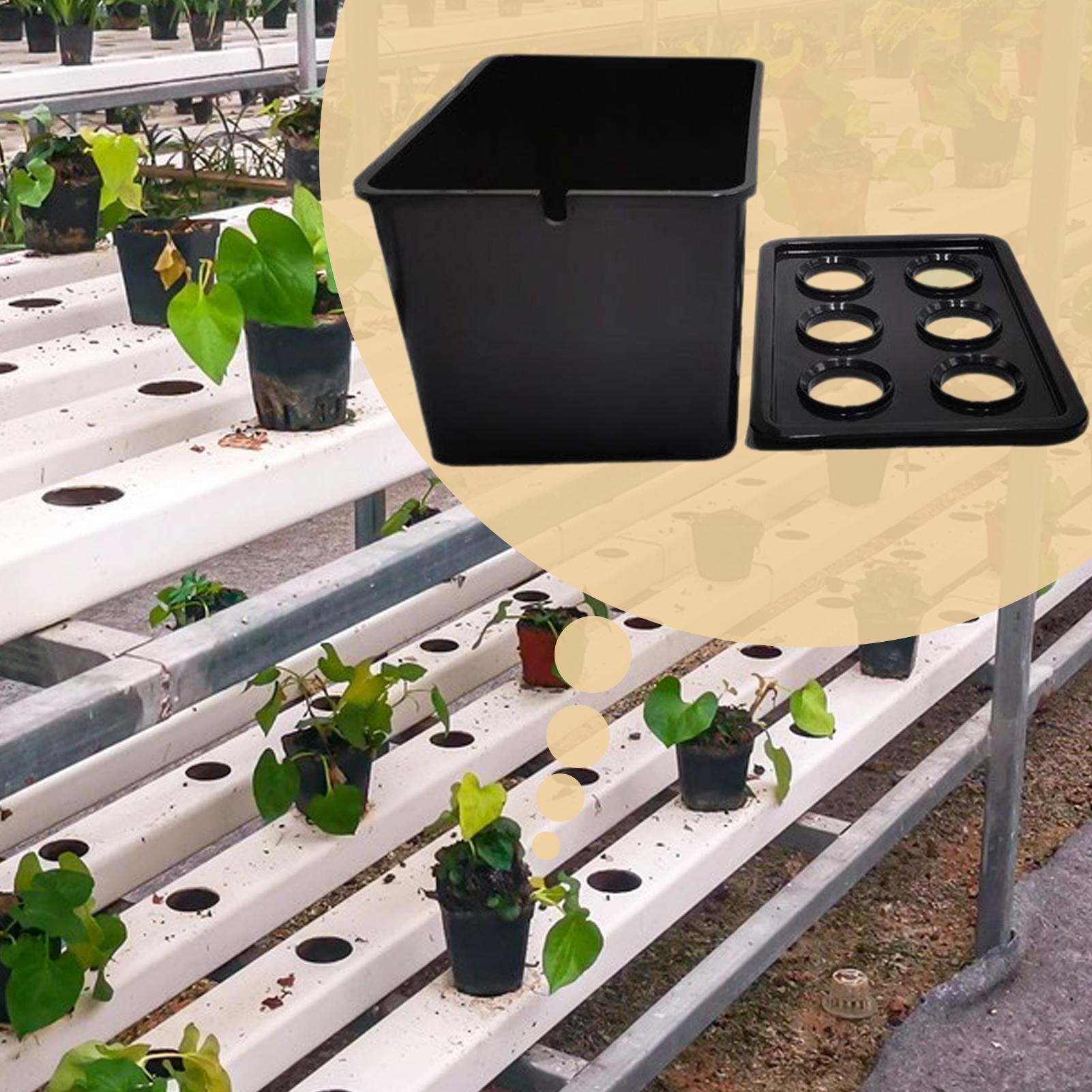 Perlengkapan Penanaman Hidropo - Hydroponic System ulasan dan harga