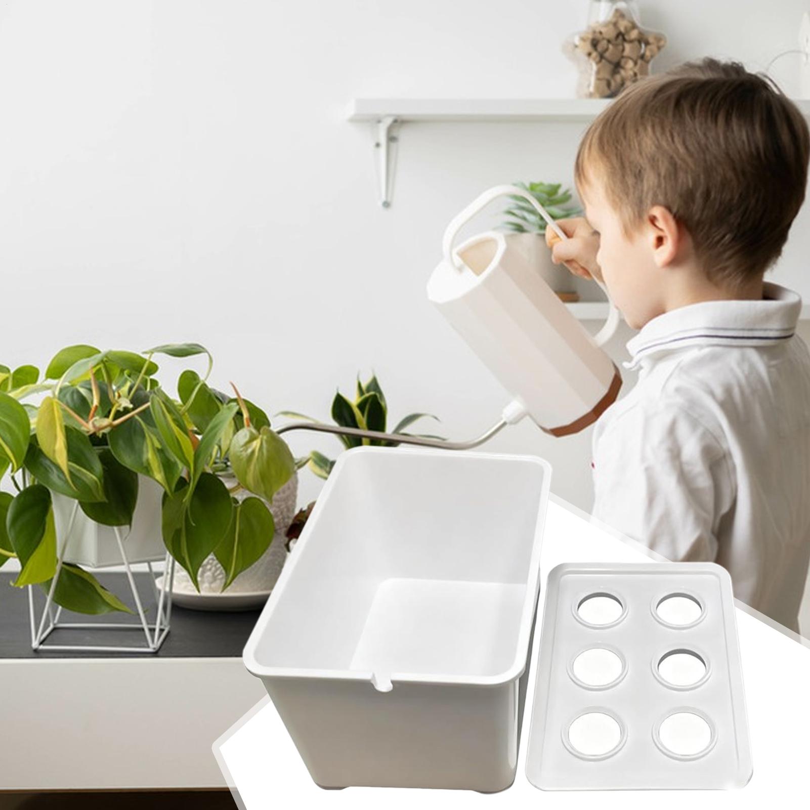 Perlengkapan Penanaman Hidropo - Hydroponic System ulasan dan harga