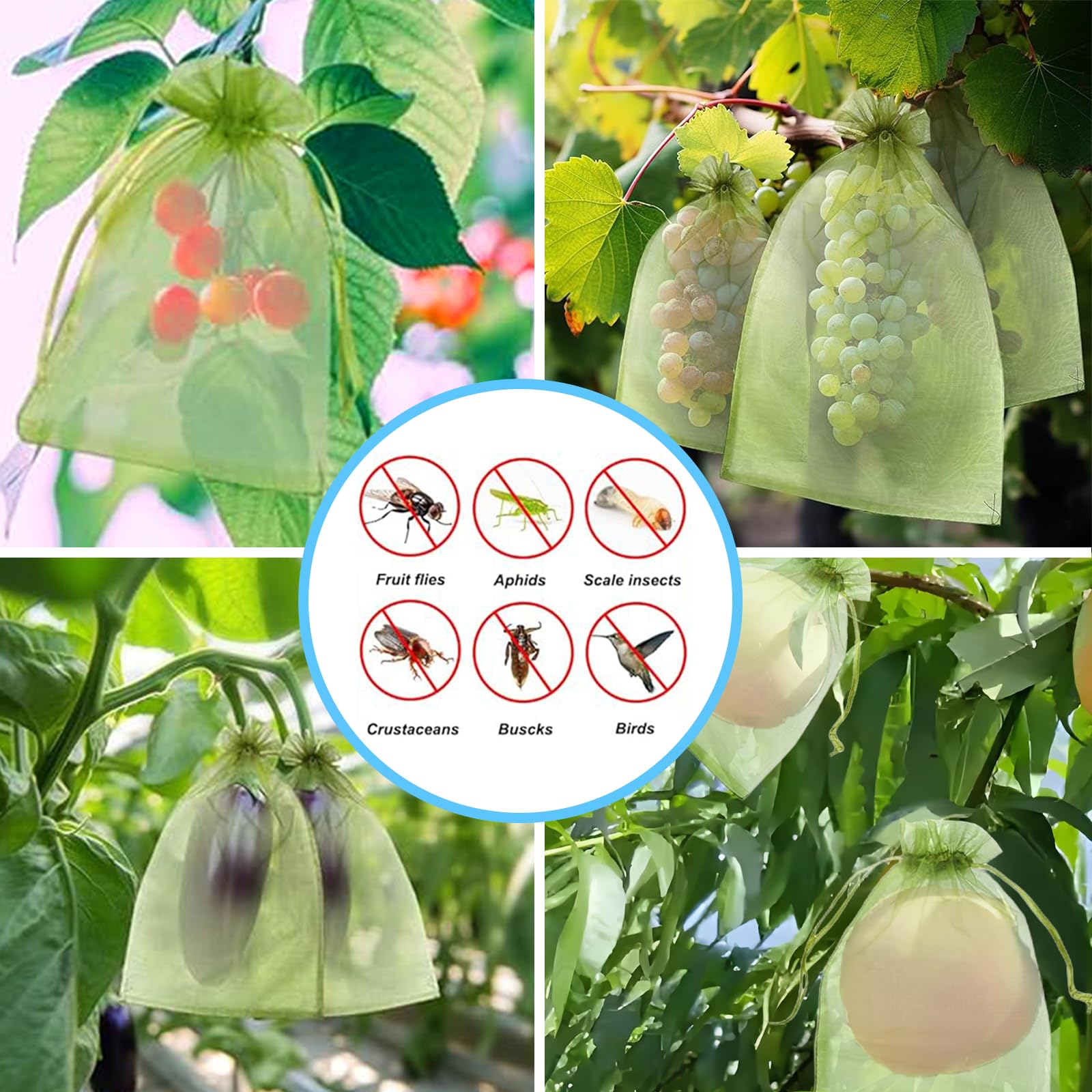 Jaring Anti Burung Efektif, Ka - Gardening Tools Bag ulasan dan harga