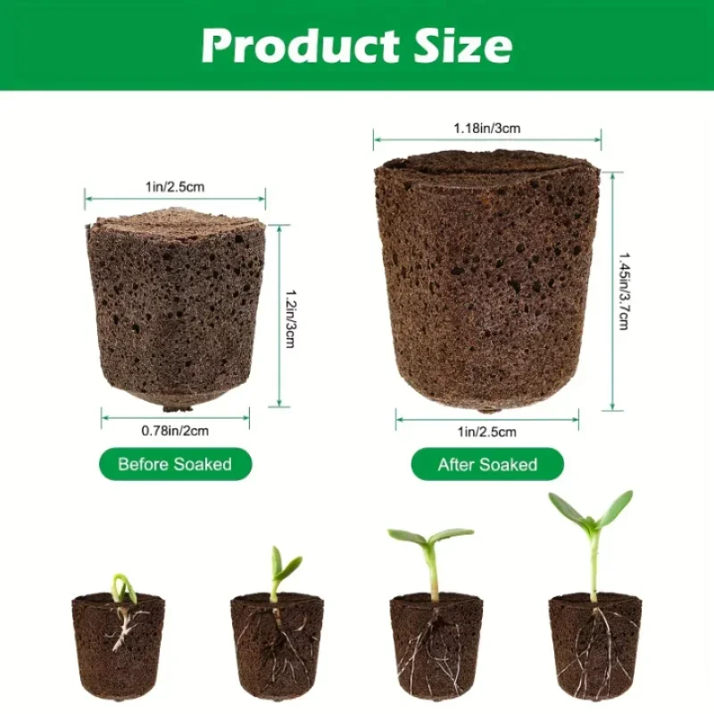 Kit Spons Pemula Bibit untuk S - Hydroponic System ulasan dan harga