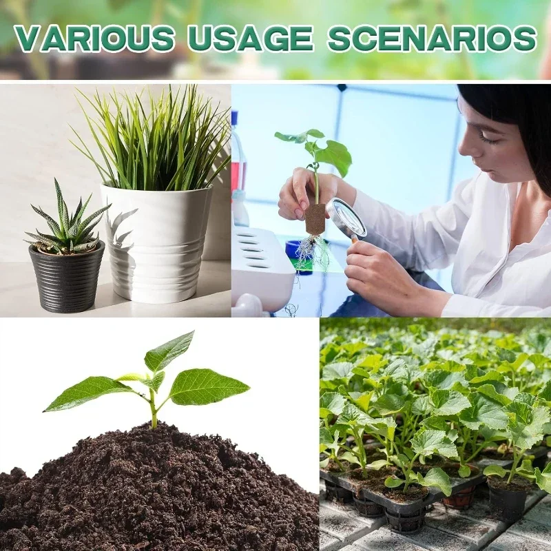 Kit Spons Pemula Bibit untuk S - Hydroponic System ulasan dan harga