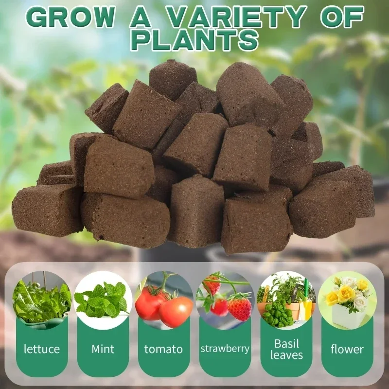 Kit Spons Pemula Bibit untuk S - Hydroponic System ulasan dan harga