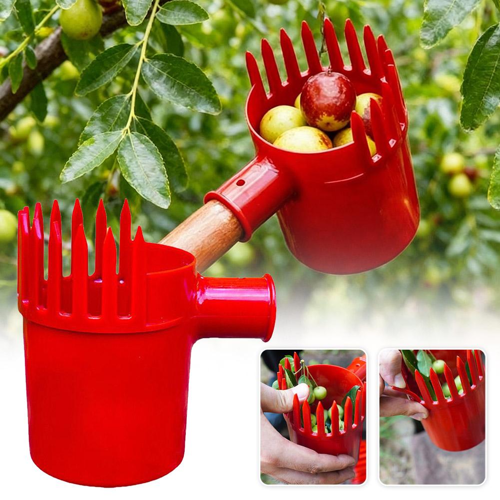 Alat Pemetik Buah Portabel den - Gardening Tools Organizer ulasan dan harga