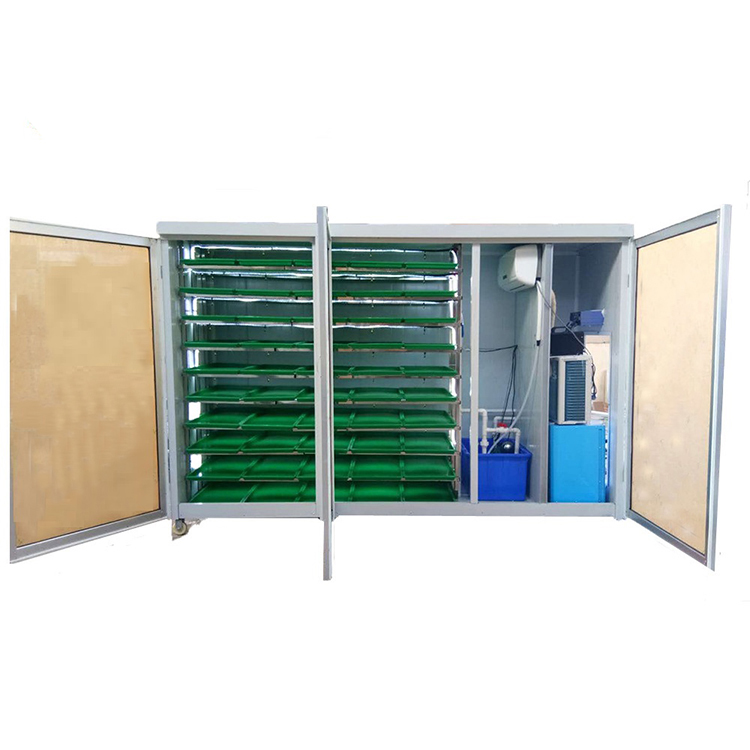Sistem Penanaman Bawang Putih  - Hydroponic System ulasan dan harga