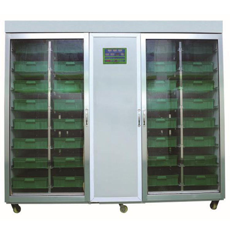 Sistem Penanaman Bawang Putih  - Hydroponic System ulasan dan harga