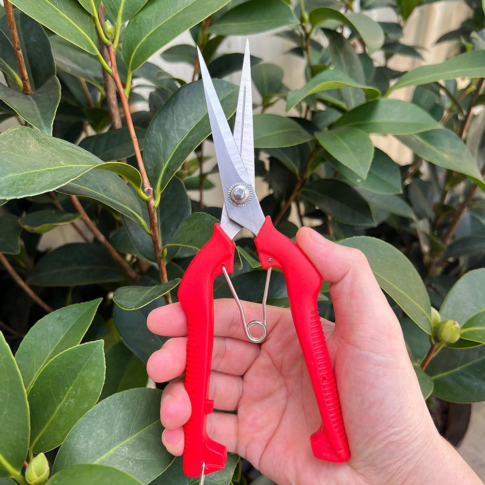 Gunting Pangkas Taman Pro Gard - Gardening Tools Wholesale ulasan dan harga