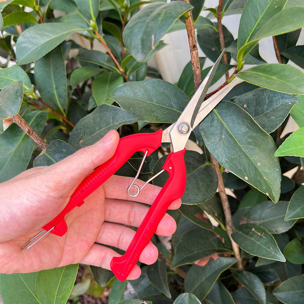 Gunting Pangkas Taman Pro Gard - Gardening Tools Wholesale ulasan dan harga