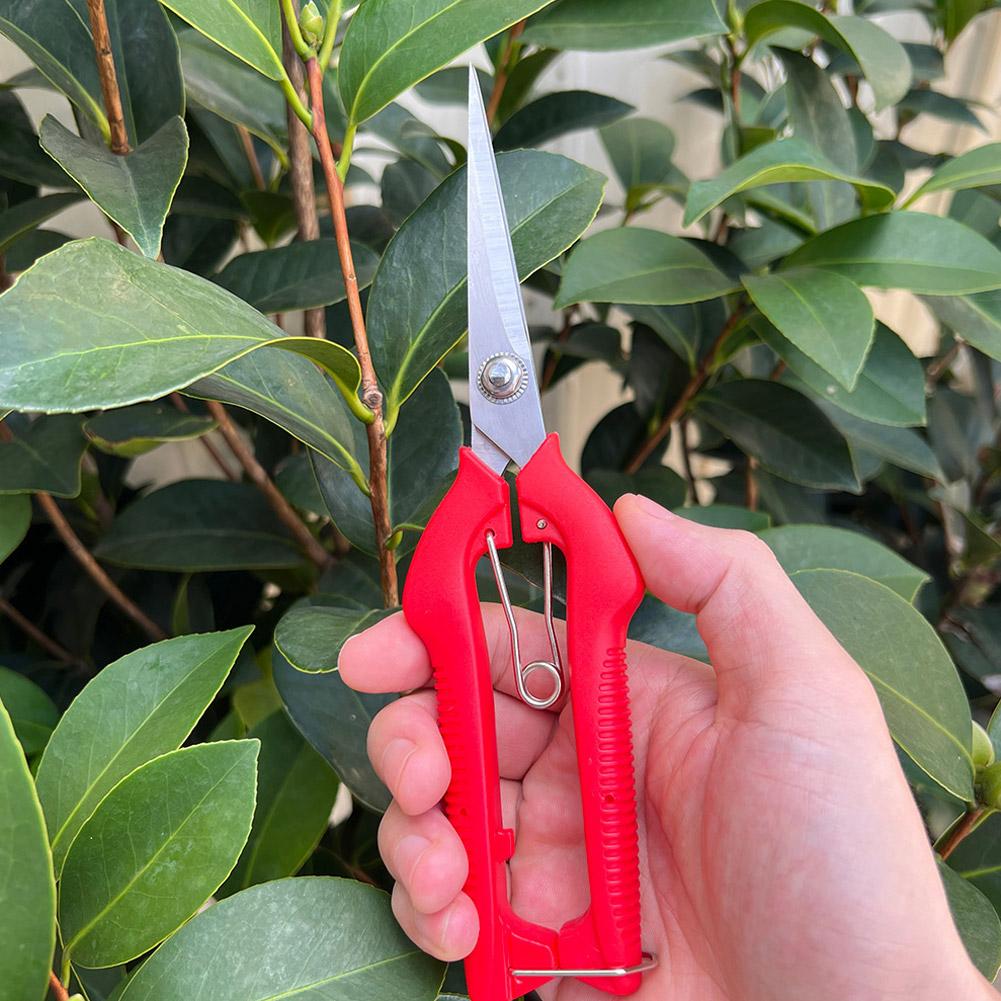 Gunting Pangkas Taman Pro Gard - Gardening Tools Wholesale ulasan dan harga