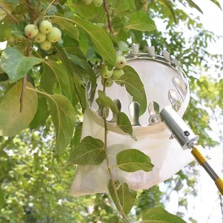 Alat Pemetik Buah Profesional, - Gardening Tools Organizer ulasan dan harga