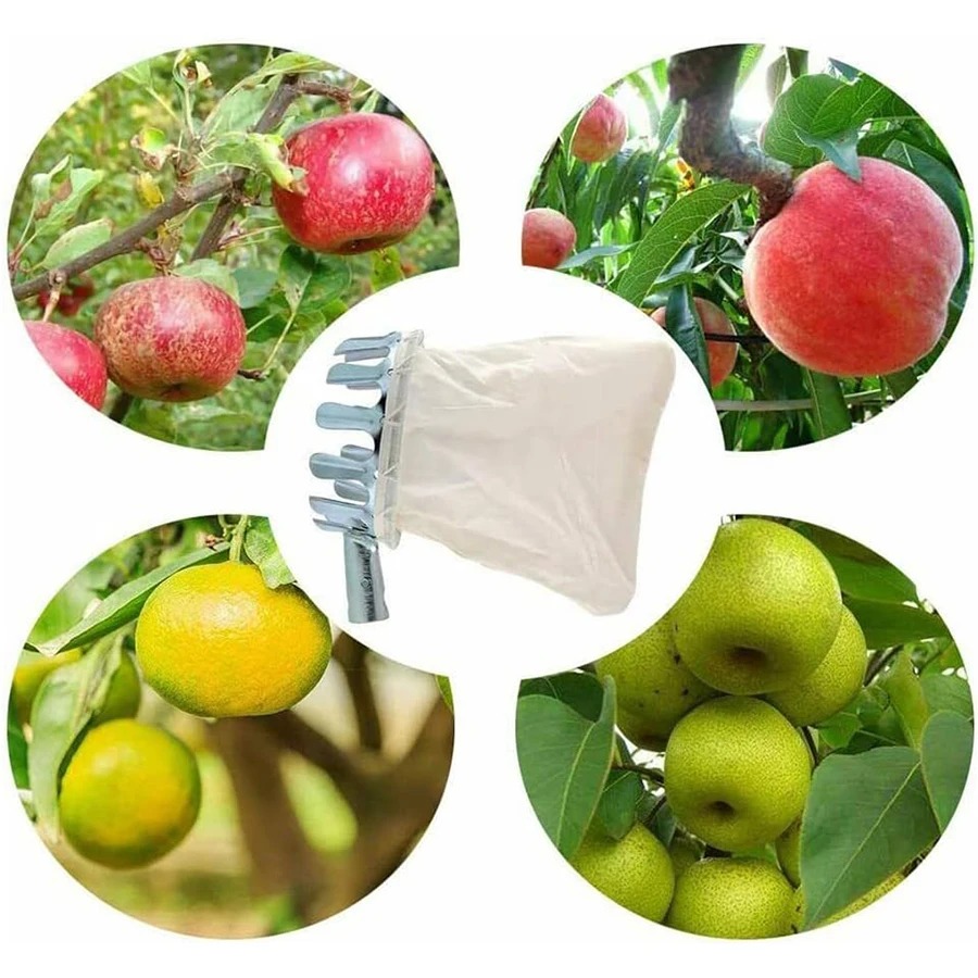 Alat Pemetik Buah Profesional, - Gardening Tools Organizer ulasan dan harga