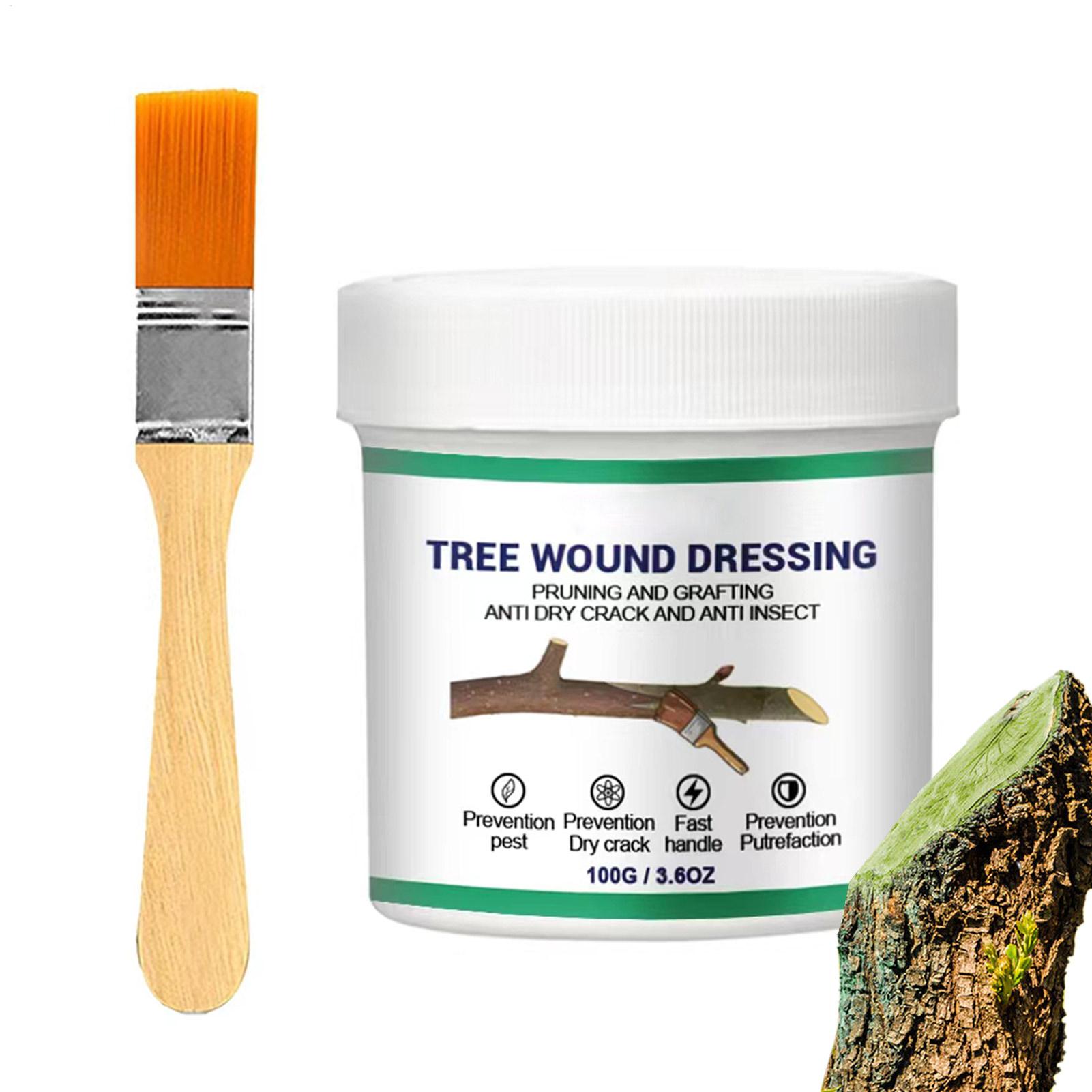Pasta Penyambung Pohon, Pasta  - Gardening Tools Repair ulasan dan harga