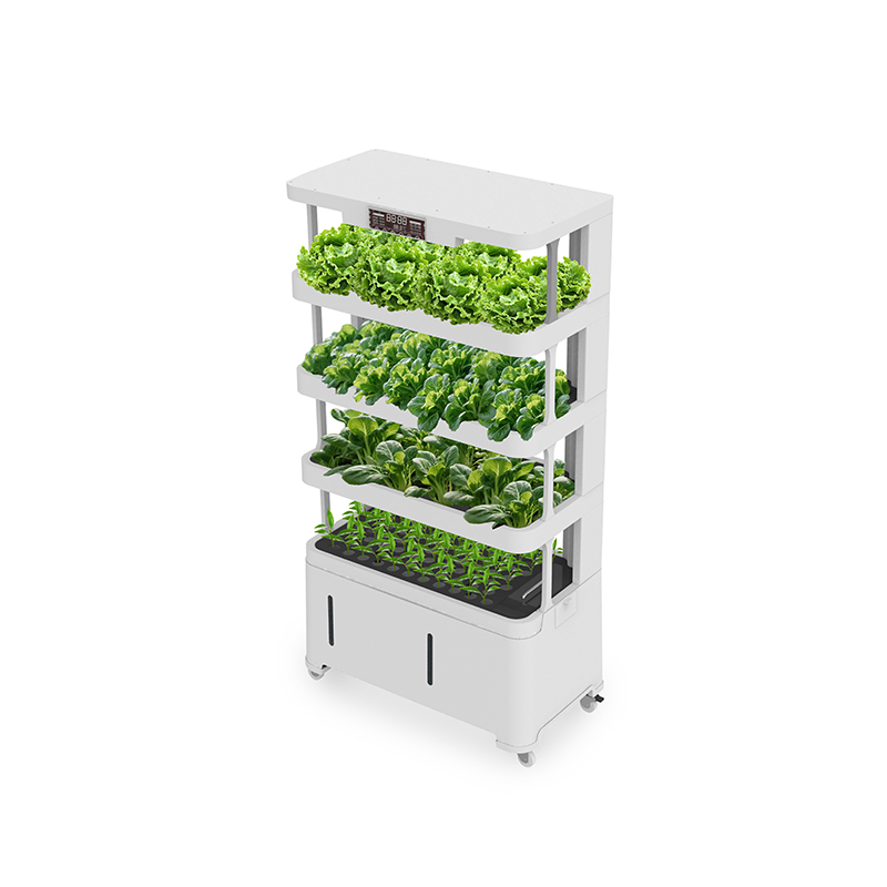 Peralatan Hidroponik Cerdas Be - Hydroponic System ulasan dan harga