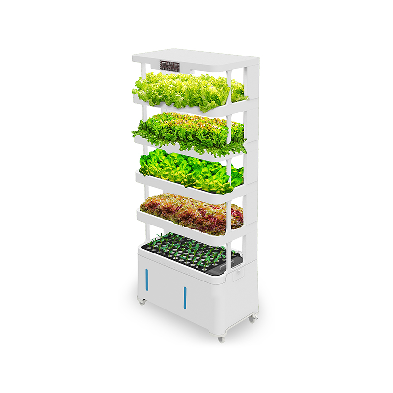 Peralatan Hidroponik Cerdas Be - Hydroponic System ulasan dan harga