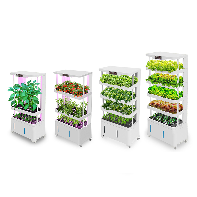 Peralatan Hidroponik Cerdas Be - Hydroponic System ulasan dan harga